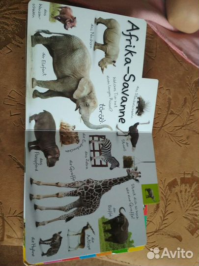Книга - картинка на немецком про животных