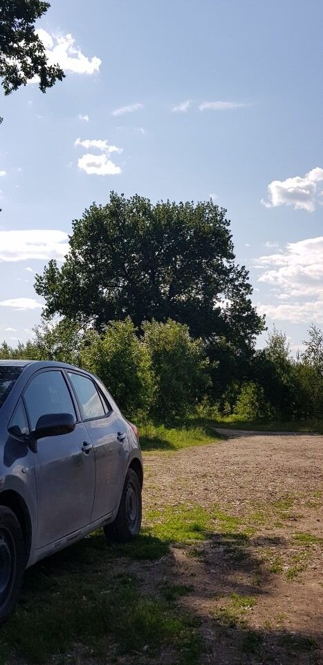 Toyota Auris: фото владельца