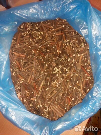 Сабельник корень