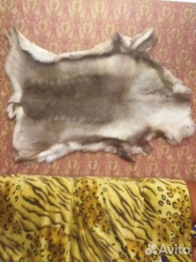 Шкура оленя