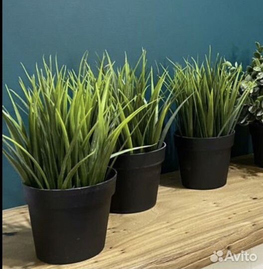 Искусственная трава в кашпо икея