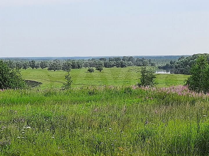 Дом 50 м² на участке 38 сот.