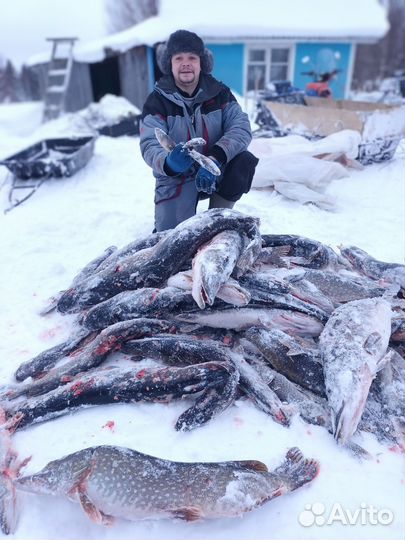 Рыбалка на севере