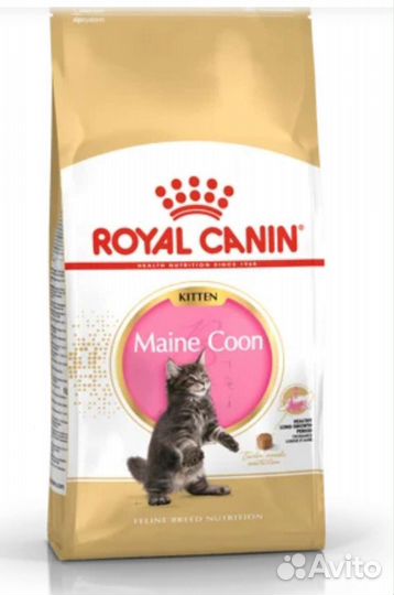 Корм для котят породы Мейн кун