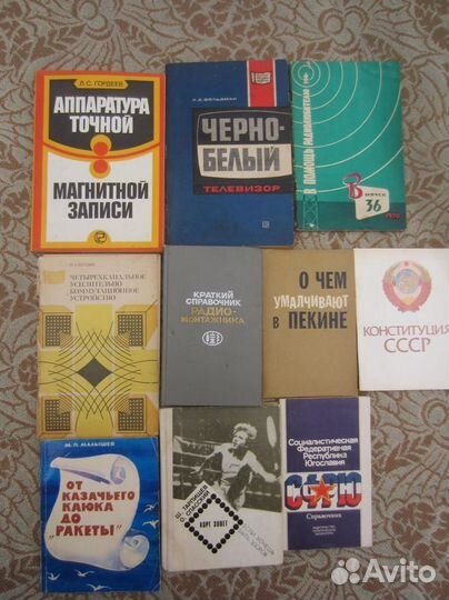 Э.С. Гарднер. Дело магазинной воровки. Дело воюще