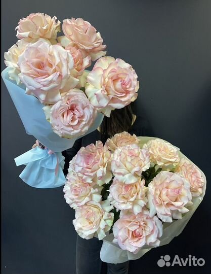 Французские розы