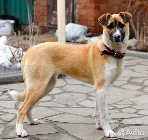 Ева ищет семью