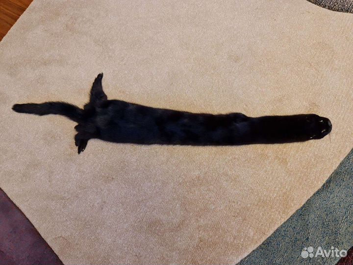 Шкурка норки