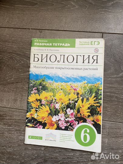 Решебники 6 класс