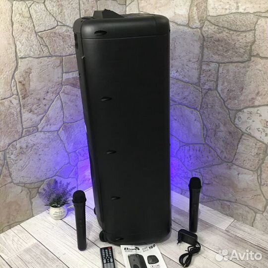 Портативная колонка Eltronic 20-16