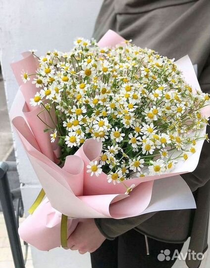 Букеты ромашек