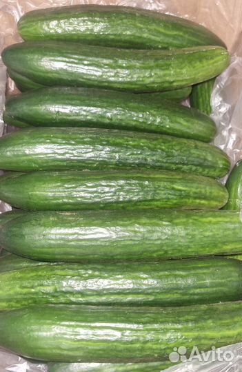 Овощи свежие