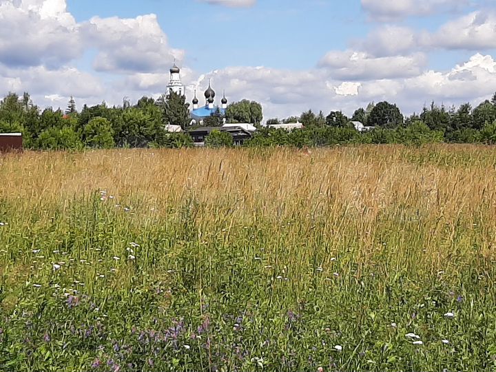 Участок 6,9 сот. (ИЖС)