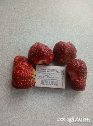 Саженцы клубники 