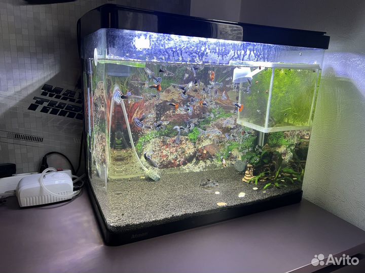 Аквариум 65 литров