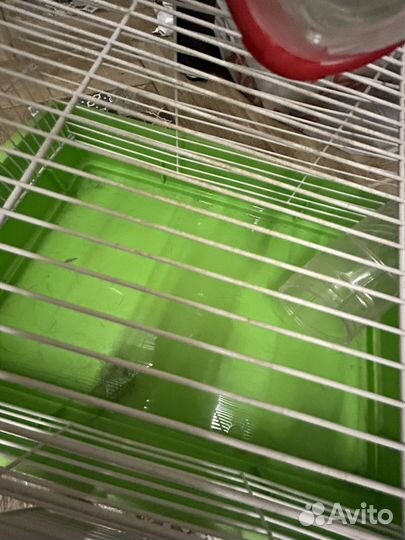 Клетка для грызунов, в подарок поилка и миска