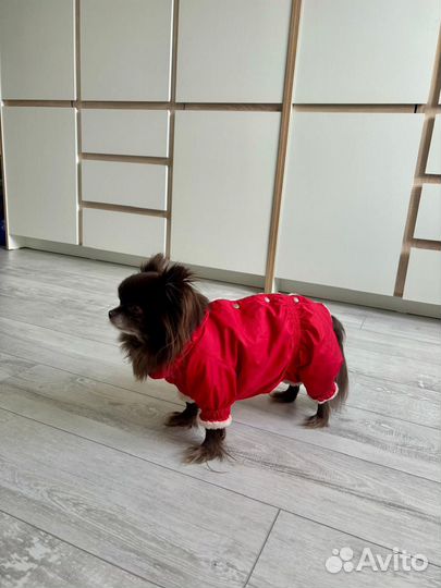 Куртка для собак мелких пород