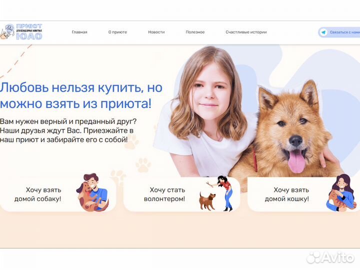 Создание и продвижение сайтов. SEO. Яндекс Директ
