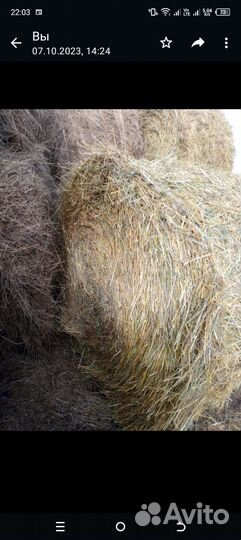 Сено в тюках 3ц