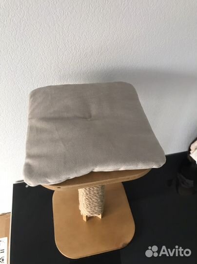 Когтеточка новая