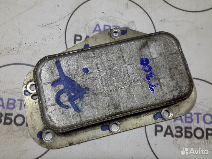 Радиатор масляный Chevrolet Aveo T300