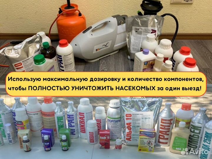 Уничтожение тараканов, обработка от клопов