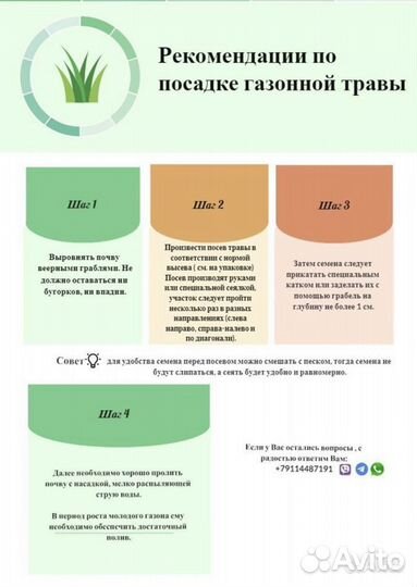 Газонная трава