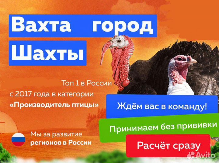 Вахта Разнорабочий птицефабрика-индейка г.Шахты