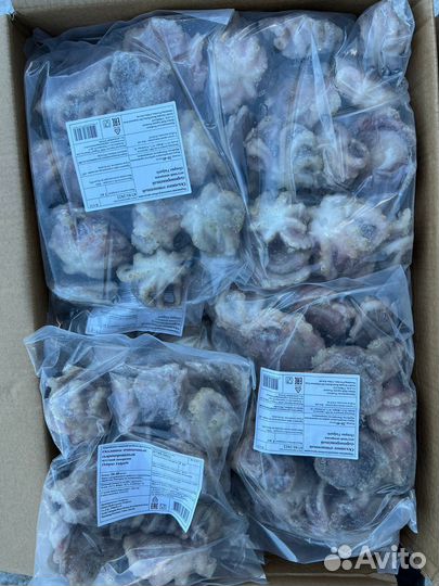 Осьминожки молодые (целый, очищенный)