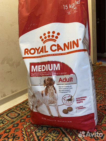 Корм для собак