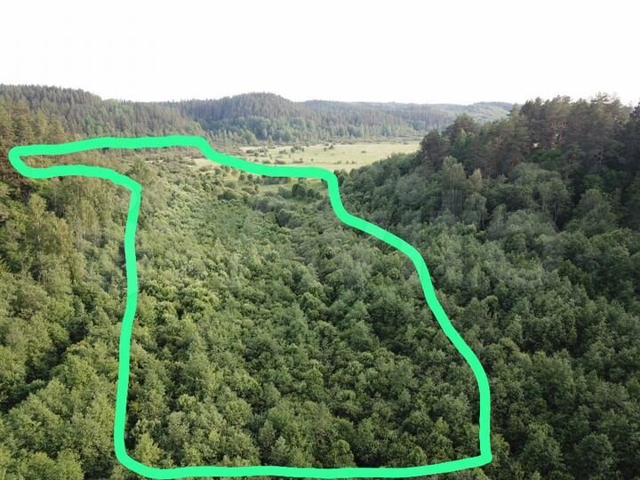 Участок 18,4 сот. (СНТ, ДНП)