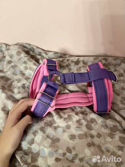 Амуниция для собак (описание)