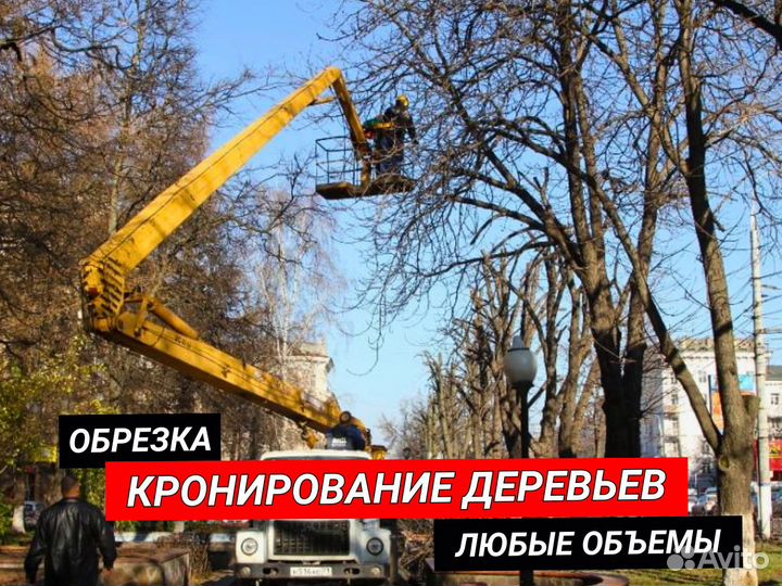 Покос травы / спил деревьев / расчистка участка