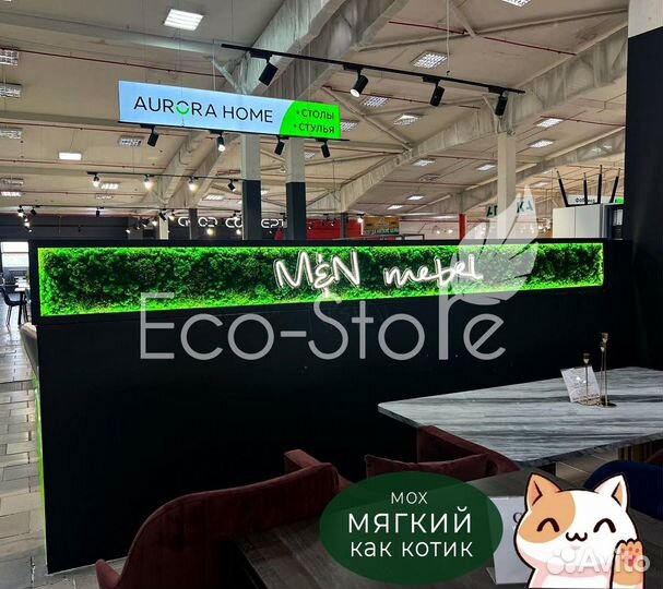 Логотип со стабилизированным мхом с подсветкой