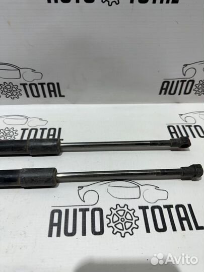 Амортизатор двери багажника Renault Duster