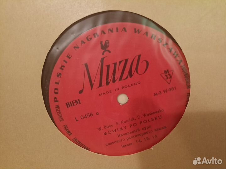 Виниловая пластинка: Уроки польского языка