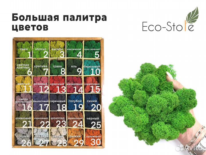 Панно со стабилизированным мхом композиция