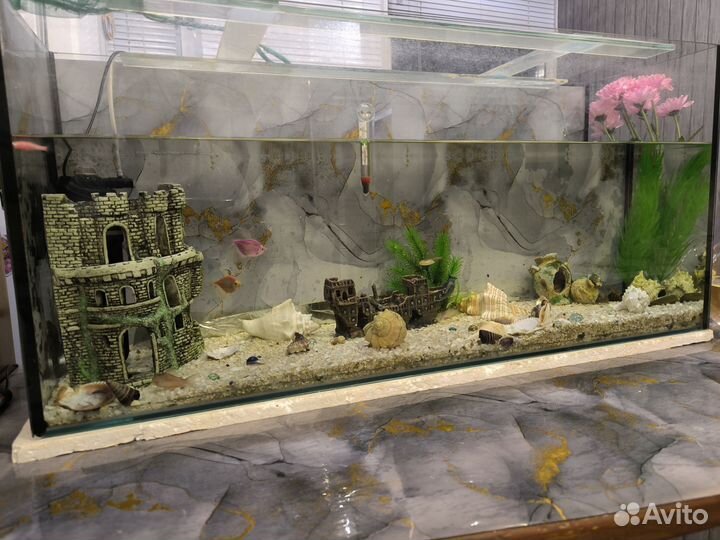 Аквариум с рыбками