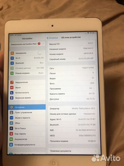 iPad mini 2