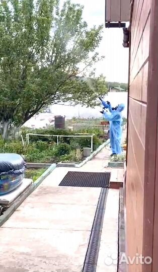 Уничтожение клопов, тараканов, плесени, мышей