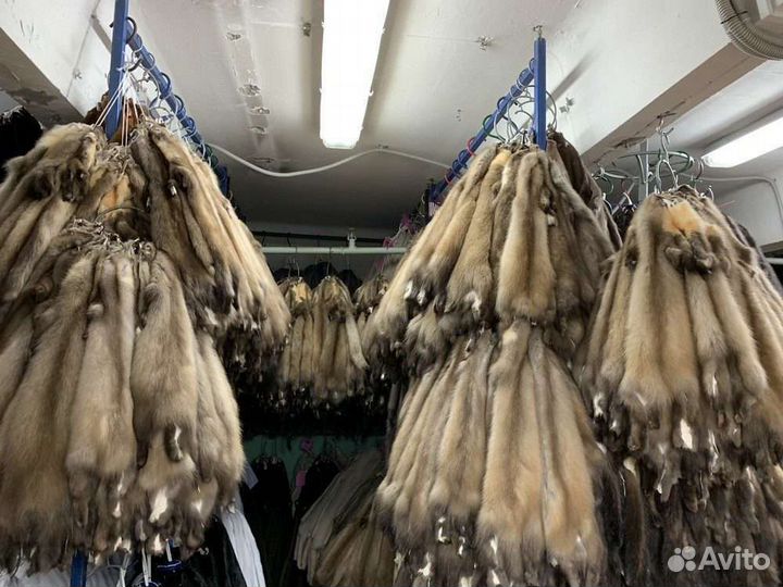 Куница Енот Рога Пушнина