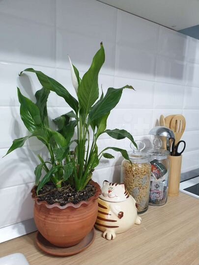 1-к. квартира, 39 м², 4/17 эт.