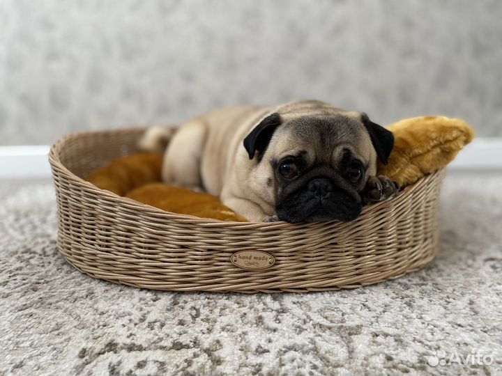 Лежанка для маленьких собак