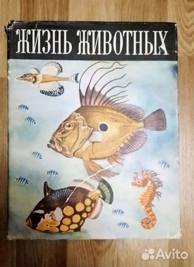 Жизнь животных