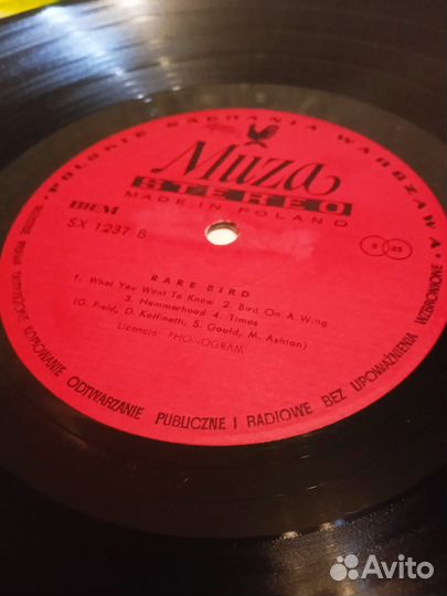 Виниловая пластинка Rare Bird (LP)
