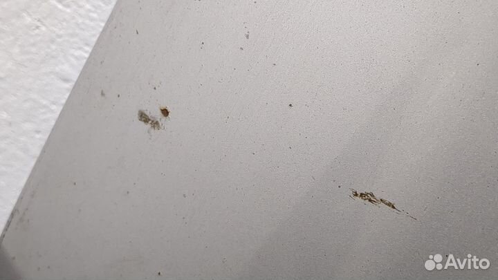 Капот Honda Accord 7, 2006