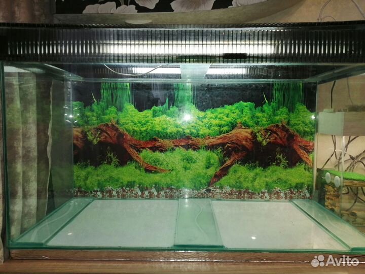Аквариум