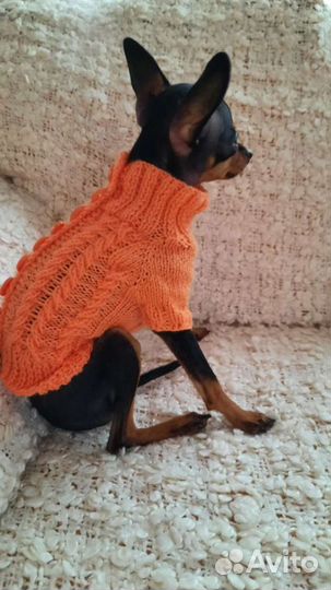 Вязаная одежда для собак и кошек