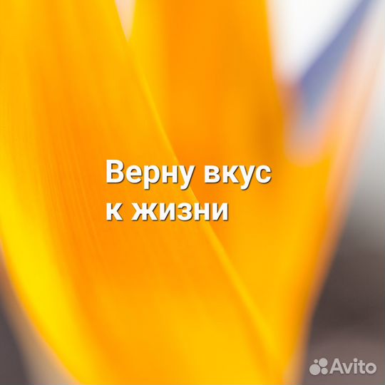 Консультация психолога