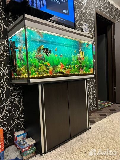 Аквариум